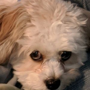 Meet your Posher, Brenda